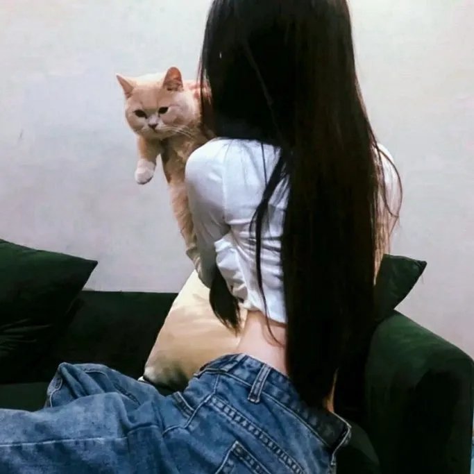 野猫嬉春