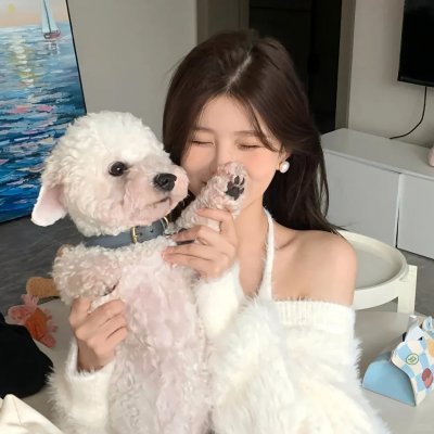 杰米·德梅特里：小品人生