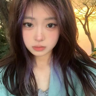 科搜研之女第24季